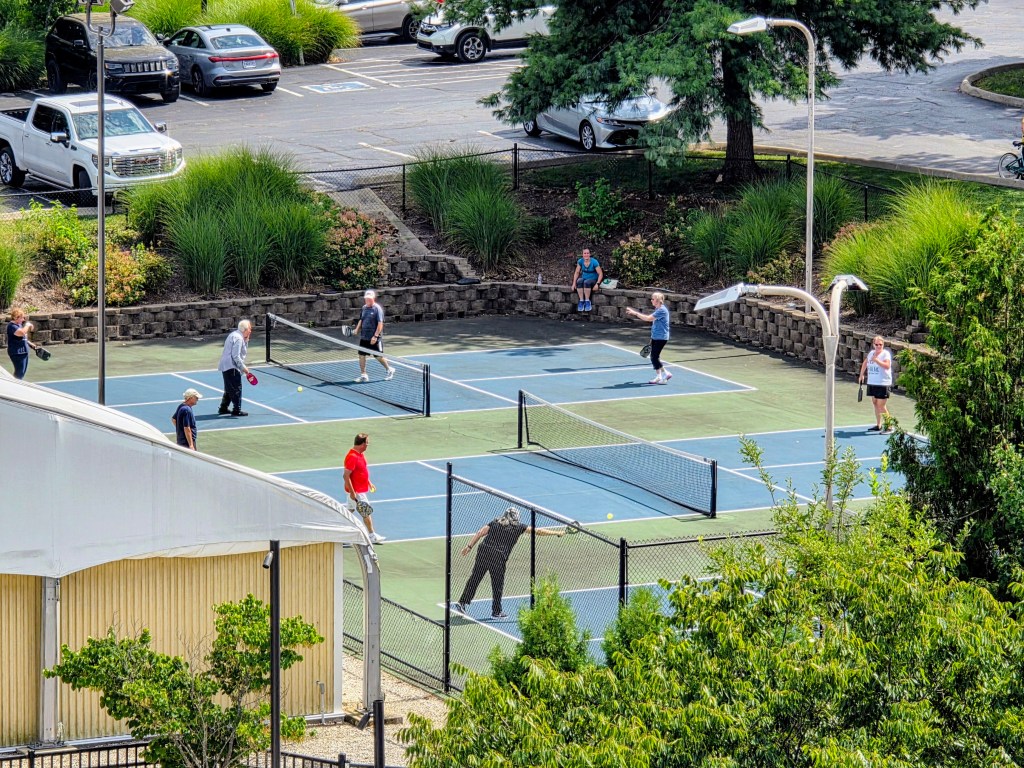 Pickle ball